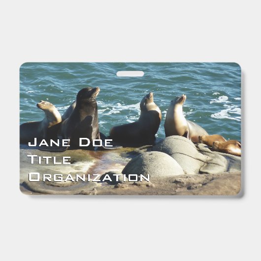 Badge Otaries de San Diego (Avant)