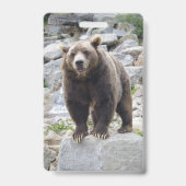Badge Ours kodiak (Arrière)