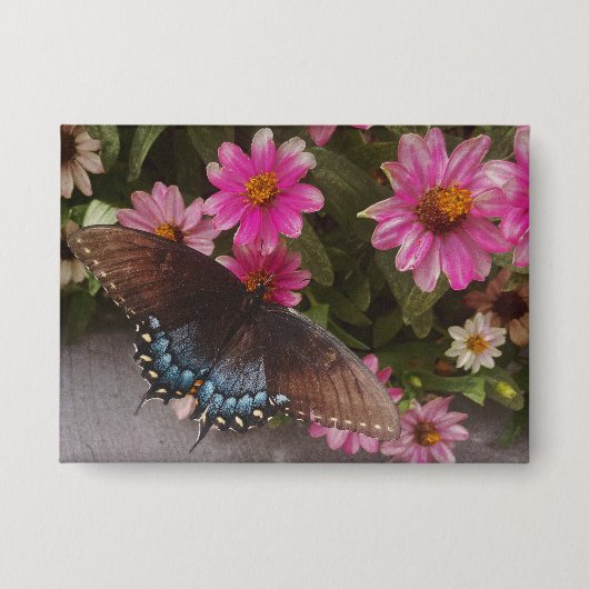 Badge papillon bleu (Recto)