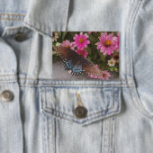 Badge papillon bleu (Insitu)