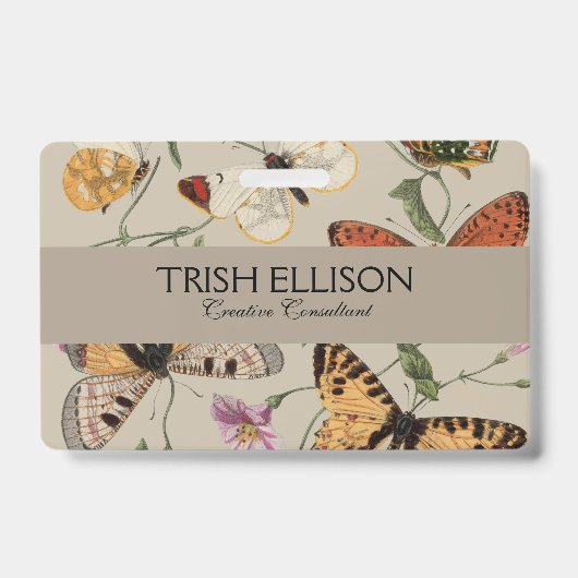 Badge Papillon Moth Nature Collection Dessin (Avant)