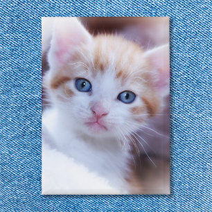 Badge Photo de chat de famille en portrait vertical