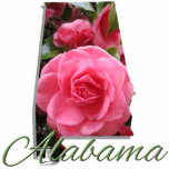 Badge Photo Sculpture Bijoux - Épingle - ALABAMA<br><div class="desc">La camélia a été désignée fleur d'État de l'Alabama en 1959, remplaçant la fleur d'État d'origine, la verge d'or. Il y a beaucoup de symbolisme associé à la charmante camélia : gratitude, perfectionnisme, amour, affection et admiration. Ce magnifique design est un hommage à cette belle floraison et rend également hommage...</div>