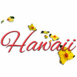 Badge Photo Sculpture Bijoux - Épingle - HAWAII<br><div class="desc">Aloha ! Hawaï — notre joyau dans le Pacifique. Hawaii se compose de huit îles PRINCIPALES : Niihau, Kauai, Oahu, Maui, Molokai, Lanai, Kahoolawe et la "Grande île" d'Hawaii. Le "Big Island" devient de plus en plus grand. On estime que l'île d'Hawaii s'étend sur plus de 15 hectares chaque année...</div>