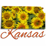 Badge Photo Sculpture Bijoux - Épingle - KANSAS<br><div class="desc">Le Kansas porte le nom de la tribu amérindienne Kansa qui habitait la région à l'origine. Bien que le surnom officiel soit "L'État du tournesol", le Kansas est aussi appelé "L'État libre" et "L'État du blé". En 2015, le Kansas était l'un des états agricoles les plus productifs du pays, produisant...</div>