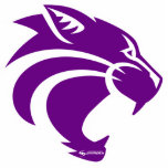 Badge Photo Sculpture Clovis Wildcats Pin<br><div class="desc">Colvis Wildcats violet et blanc broche acrylique avec broche sauvage découpée avec broche métallique.</div>