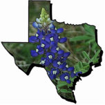 Badge Photo Sculpture Pin de Bluebonnet de Texas<br><div class="desc">L'état du Texas a rempli de photo de bluebonnet</div>
