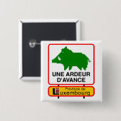 Badge - Province de Luxembourg UNE ARDEUR D'AVANCE (Devant & derrière)