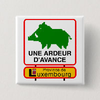 Badge - Province de Luxembourg UNE ARDEUR D'AVANCE