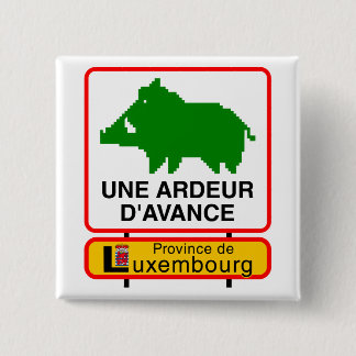 Badge - Province de Luxembourg UNE ARDEUR D'AVANCE