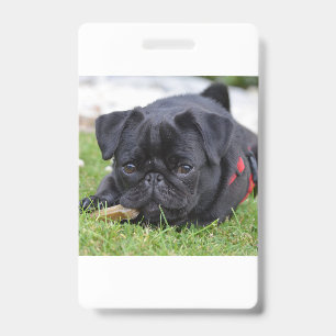 Badge pug noir couché