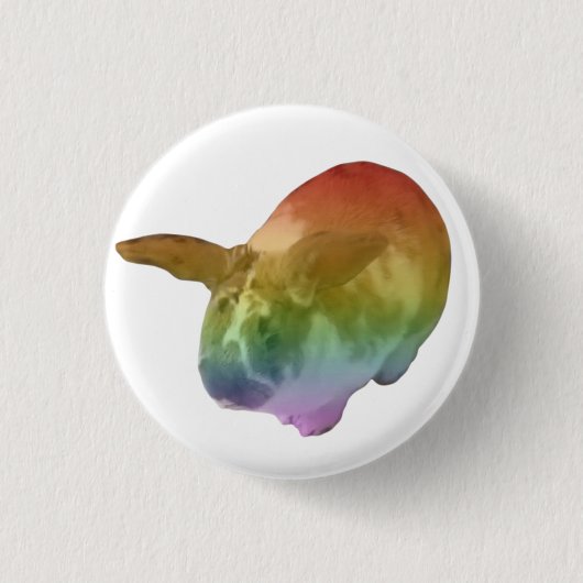 Badge Rainbow Paddy (Devant)