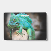 Badge reptiles, nature, lézards (Arrière)