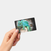 Badge reptiles, nature, lézards (Manuel / portable)