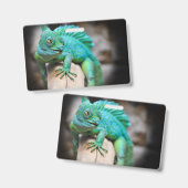 Badge reptiles, nature, lézards (Avant & arrière)