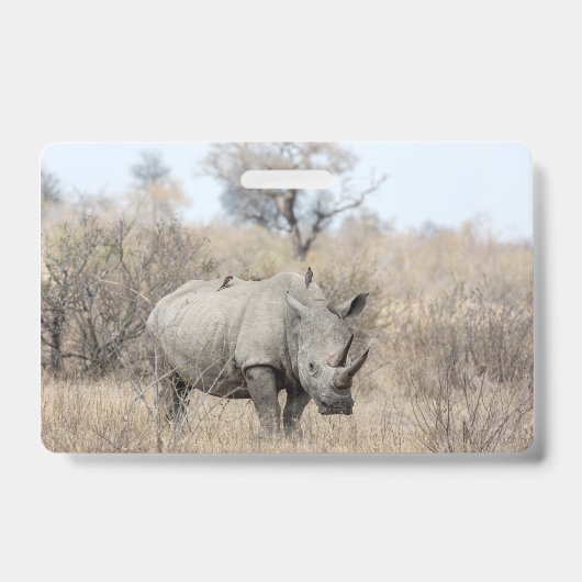 Badge Rhinocéros blanc (Avant)