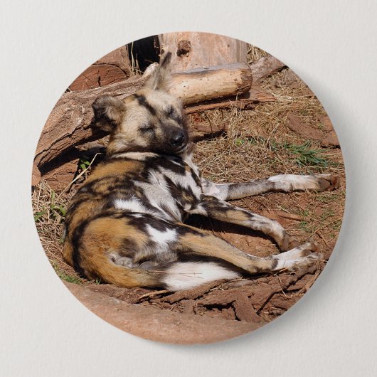 Badge Rond 10 Cm african-wild-dog-018 (Devant)
