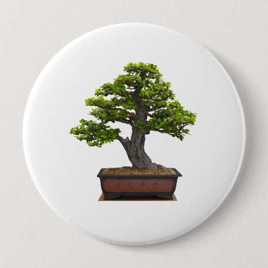 Badge Rond 10 Cm arbre de bonsaïs (Devant)