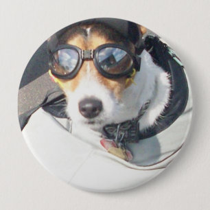 Badge Rond 10 Cm Bouton Chien de porc