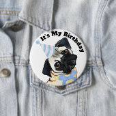 Badge Rond 10 Cm Bouton d'anniversaire du chien carlin (En situation)