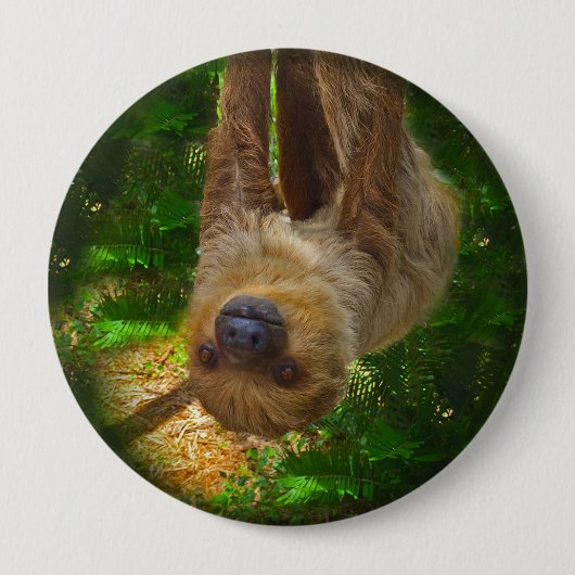Badge Rond 10 Cm Bouton de la forêt pluviale de Sloth (Devant)