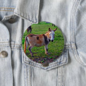 Badge Rond 10 Cm Calico Donkey (En situation)