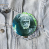 Badge Rond 10 Cm Chimpanzé (En situation)