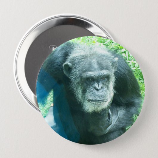 Badge Rond 10 Cm Chimpanzé (Devant & derrière)