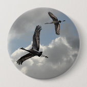 BADGE ROND 10 CM CRANES DE SANDHILL (Devant)