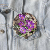 Badge Rond 10 Cm Crocus pourpre (En situation)