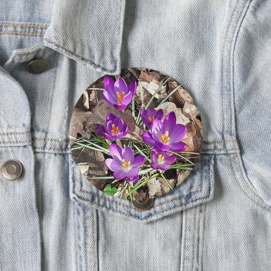 Badge Rond 10 Cm Crocus pourpre (En situation)