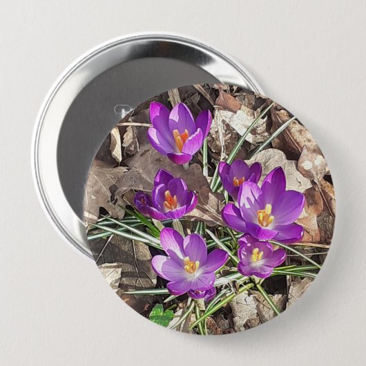 Badge Rond 10 Cm Crocus pourpre (Devant & derrière)