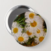 Badge Rond 10 Cm Daisy (Devant & derrière)