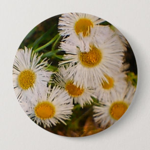 Badge Rond 10 Cm Daisy