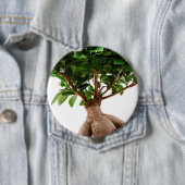 Badge Rond 10 Cm Ficus Ginseng (En situation)