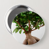 Badge Rond 10 Cm Ficus Ginseng (Devant & derrière)