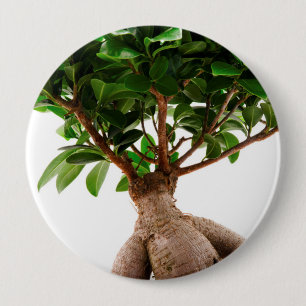 Badge Rond 10 Cm Ficus Ginseng