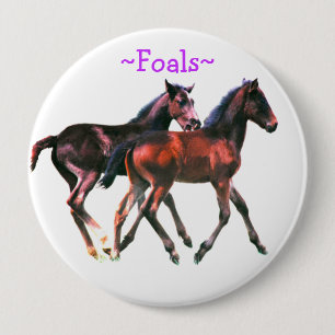 Badge Rond 10 Cm Foals Playing Pin Button