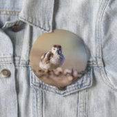 Badge Rond 10 Cm Goose Chick Nature Photo (En situation)