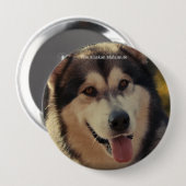 Badge Rond 10 Cm Insigne (Devant & derrière)