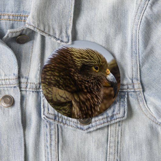 Badge Rond 10 Cm Kea (Nestor notabilis) (En situation)