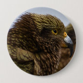 Badge Rond 10 Cm Kea (Nestor notabilis) (Devant)