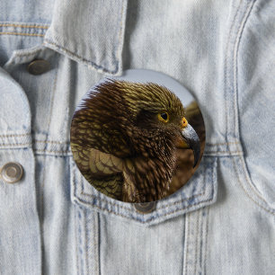 Badge Rond 10 Cm Kea (Nestor notabilis)
