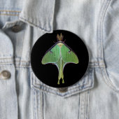 Badge Rond 10 Cm Luna Moth (En situation)
