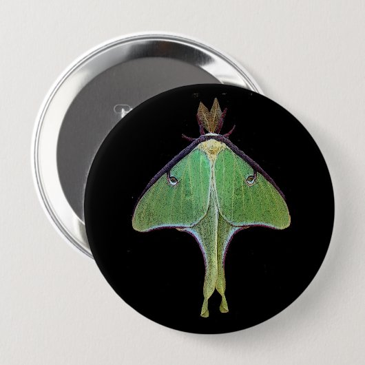 Badge Rond 10 Cm Luna Moth (Devant & derrière)