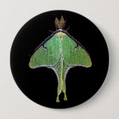 Badge Rond 10 Cm Luna Moth (Devant)