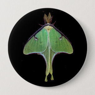 Badge Rond 10 Cm Luna Moth