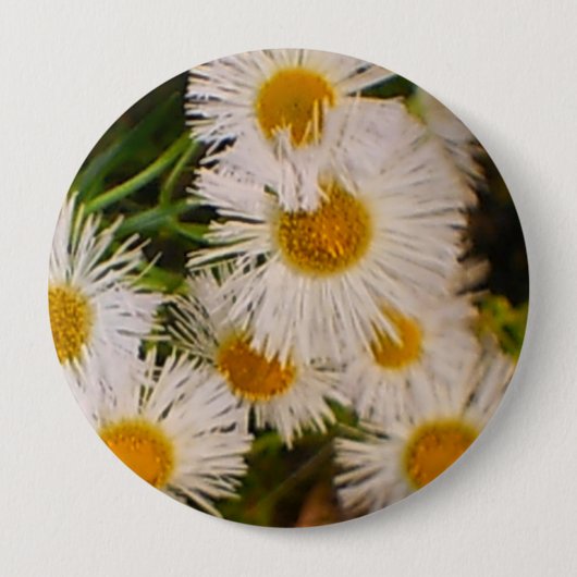 Badge Rond 10 Cm Marguerites (Devant)