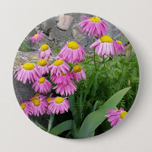 Badge Rond 10 Cm Pink Peint marguerite Fleurs Nature photographie