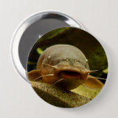 Badge Rond 10 Cm Poisson-chat électrique (Devant & derrière)